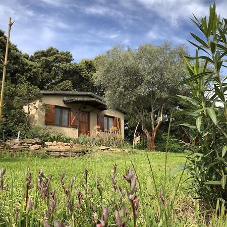 La Cerca Del Alcornoque Guest House Casas de Belvis Bagian luar foto