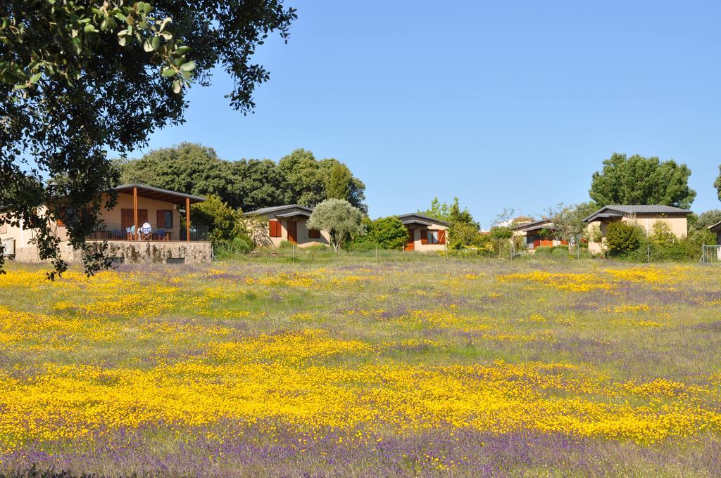 La Cerca Del Alcornoque Guest House Casas de Belvis Bagian luar foto