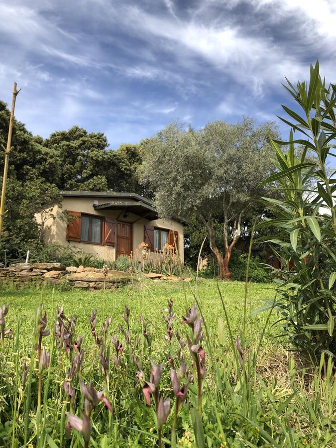 La Cerca Del Alcornoque Guest House Casas de Belvis Bagian luar foto